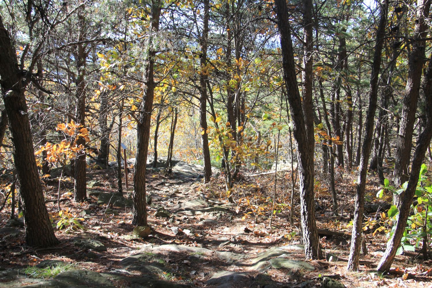 Appalachian Trail 